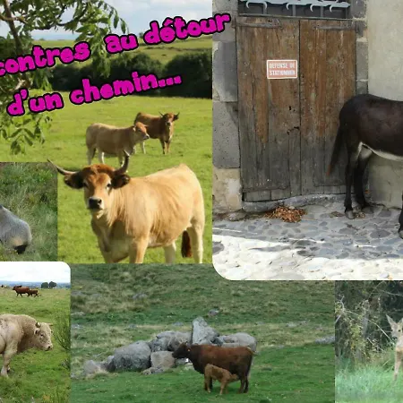 1er Etage Dans Maison Individuelle Apartment *